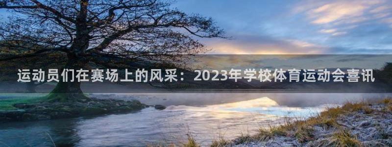 下载风速体育：运动员们在赛场上的风采：2023年学校体育运动会喜讯