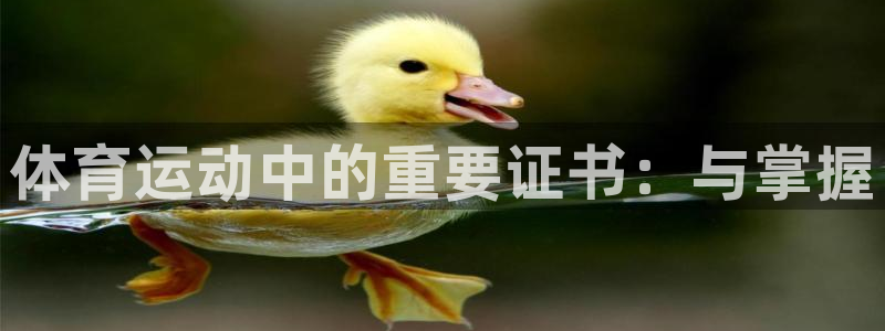 风速体育app下载官网最新版