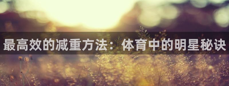 风速体育还有什么体育：最高效的减重方法：体育中的明星秘诀