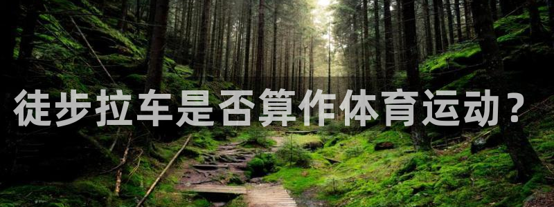 风速体育如何下载