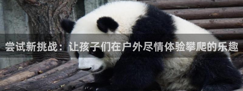 风速体育app下载