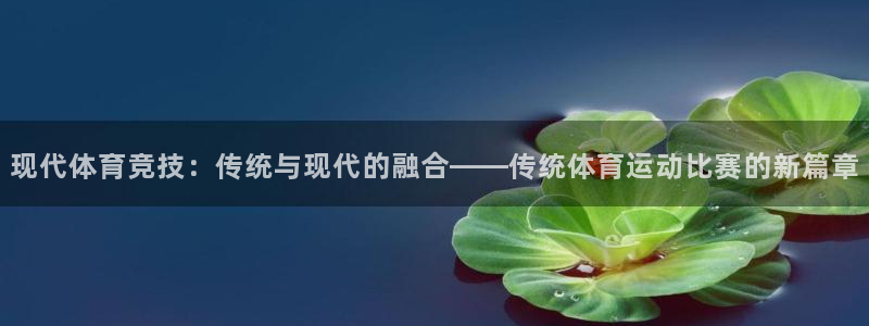 风速体育：现代体育竞技：传统与现代的融合——传统体育运动比赛的新篇章